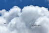 GP MIAMI, Circuit Atmosfera - airplane with banner for Zhou Guanyu (CHN) Sauber.
04.05.2024. Formula 1 World Championship, Rd 6, Miami Grand Prix, Miami, Florida, USA, Sprint e Qualifiche Day.
- www.xpbimages.com, EMail: requests@xpbimages.com © Copyright: Moy / XPB Images