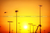 GP QATAR, Circuit Atmosfera - sunset.

29.11.2024 Formula 1 World Championship, Rd 23, Qatar Grand Prix, Doha, Qatar, Sprint Qualifiche Day.

- www.xpbimages.com, EMail: requests@xpbimages.com © Copyright: Moy / XPB Images