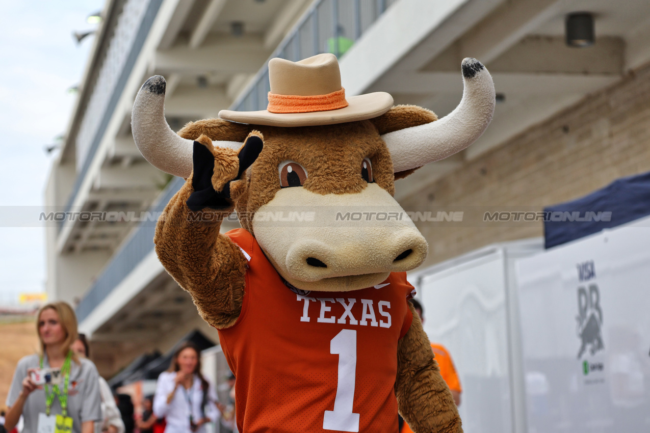 GP STATI UNITI, Texas Longhorn mascot.

17.10.2024. Formula 1 World Championship, Rd 19, United States Grand Prix, Austin, Texas, USA, Preparation Day.

- www.xpbimages.com, EMail: requests@xpbimages.com © Copyright: Batchelor / XPB Images