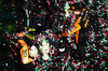 GP UNGHERIA, Gara winner Oscar Piastri (AUS) McLaren celebrates on the podium with second placed team mate Lando Norris (GBR) McLaren.

21.07.2024. Formula 1 World Championship, Rd 13, Hungarian Grand Prix, Budapest, Hungary, Gara Day.

- www.xpbimages.com, EMail: requests@xpbimages.com © Copyright: Bearne / XPB Images