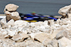 TEST BAHRAIN, Logan Sargeant (USA) Williams Racing FW46.
22.02.2024. Formula 1 Testing, Sakhir, Bahrain, Day Two.
- www.xpbimages.com, EMail: requests@xpbimages.com © Copyright: Bearne / XPB Images