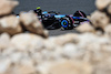 TEST BAHRAIN, Pierre Gasly (FRA) Alpine F1 Team A524.
22.02.2024. Formula 1 Testing, Sakhir, Bahrain, Day Two.
- www.xpbimages.com, EMail: requests@xpbimages.com © Copyright: Bearne / XPB Images