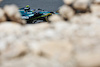 TEST BAHRAIN, Fernando Alonso (ESP) Aston Martin F1 Team AMR24.
22.02.2024. Formula 1 Testing, Sakhir, Bahrain, Day Two.
- www.xpbimages.com, EMail: requests@xpbimages.com © Copyright: Bearne / XPB Images