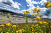 GP AUSTRIA, Franco Colapinto (ARG) Alpine F1 Team A525.

28.06.2025. Formula 1 World Championship, Rd 11, Austrian Grand Prix, Spielberg, Austria, Qualifiche Day.

- www.xpbimages.com, EMail: requests@xpbimages.com © Copyright: Charniaux / XPB Images