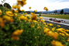 GP AUSTRIA, Esteban Ocon (FRA) Haas VF-25.

27.06.2025. Formula 1 World Championship, Rd 11, Austrian Grand Prix, Spielberg, Austria, Practice Day.

- www.xpbimages.com, EMail: requests@xpbimages.com © Copyright: Charniaux / XPB Images