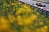 GP AUSTRIA, Oscar Piastri (AUS) McLaren MCL39.

27.06.2025. Formula 1 World Championship, Rd 11, Austrian Grand Prix, Spielberg, Austria, Practice Day.

- www.xpbimages.com, EMail: requests@xpbimages.com © Copyright: Charniaux / XPB Images