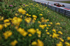 GP AUSTRIA - Prove Libere