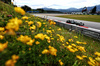 GP AUSTRIA, George Russell (GBR) Mercedes AMG F1 W16.

27.06.2025. Formula 1 World Championship, Rd 11, Austrian Grand Prix, Spielberg, Austria, Practice Day.

- www.xpbimages.com, EMail: requests@xpbimages.com © Copyright: Charniaux / XPB Images
