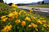 GP AUSTRIA, Oliver Bearman (GBR) Haas VF-25.

27.06.2025. Formula 1 World Championship, Rd 11, Austrian Grand Prix, Spielberg, Austria, Practice Day.

- www.xpbimages.com, EMail: requests@xpbimages.com © Copyright: Charniaux / XPB Images