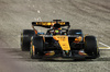 GP BAHRAIN, Gara winner Oscar Piastri (AUS) McLaren MCL39 at the end of the race.

13.04.2025. Formula 1 World Championship, Rd 4, Bahrain Grand Prix, Sakhir, Bahrain, Gara Day.

- www.xpbimages.com, EMail: requests@xpbimages.com © Copyright: Bearne / XPB Images