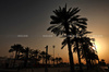 GP BAHRAIN, Circuit Atmosfera - sunset.

10.04.2025. Formula 1 World Championship, Rd 4, Bahrain Grand Prix, Sakhir, Bahrain, Preparation Day.

- www.xpbimages.com, EMail: requests@xpbimages.com © Copyright: Moy / XPB Images