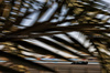 GP BAHRAIN, George Russell (GBR) Mercedes AMG F1 W16.

12.04.2025. Formula 1 World Championship, Rd 4, Bahrain Grand Prix, Sakhir, Bahrain, Qualifiche Day.

- www.xpbimages.com, EMail: requests@xpbimages.com © Copyright: Charniaux / XPB Images