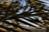GP BAHRAIN, Esteban Ocon (FRA) Haas VF-25.

12.04.2025. Formula 1 World Championship, Rd 4, Bahrain Grand Prix, Sakhir, Bahrain, Qualifiche Day.

- www.xpbimages.com, EMail: requests@xpbimages.com © Copyright: Charniaux / XPB Images