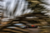 GP BAHRAIN, Yuki Tsunoda (JPN) Red Bull Racing RB21.

12.04.2025. Formula 1 World Championship, Rd 4, Bahrain Grand Prix, Sakhir, Bahrain, Qualifiche Day.

- www.xpbimages.com, EMail: requests@xpbimages.com © Copyright: Charniaux / XPB Images