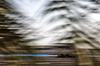 GP BAHRAIN, Max Verstappen (NLD) Red Bull Racing RB21.

12.04.2025. Formula 1 World Championship, Rd 4, Bahrain Grand Prix, Sakhir, Bahrain, Qualifiche Day.

- www.xpbimages.com, EMail: requests@xpbimages.com © Copyright: Charniaux / XPB Images