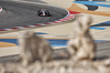 GP BAHRAIN, Oliver Bearman (GBR) Haas VF-25.

12.04.2025. Formula 1 World Championship, Rd 4, Bahrain Grand Prix, Sakhir, Bahrain, Qualifiche Day.

- www.xpbimages.com, EMail: requests@xpbimages.com © Copyright: Moy / XPB Images