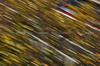 GP BAHRAIN, Yuki Tsunoda (JPN) Red Bull Racing RB21.

11.04.2025. Formula 1 World Championship, Rd 4, Bahrain Grand Prix, Sakhir, Bahrain, Practice Day

- www.xpbimages.com, EMail: requests@xpbimages.com © Copyright: Charniaux / XPB Images