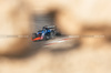 GP BAHRAIN, Alexander Albon (THA) Atlassian Williams Racing FW47.

11.04.2025. Formula 1 World Championship, Rd 4, Bahrain Grand Prix, Sakhir, Bahrain, Practice Day

- www.xpbimages.com, EMail: requests@xpbimages.com © Copyright: Bearne / XPB Images