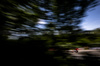 GP CANADA, Oliver Bearman (GBR) Haas VF-25.

13.06.2025. Formula 1 World Championship, Rd 10, Canadian Grand Prix, Montreal, Canada, Practice Day.

- www.xpbimages.com, EMail: requests@xpbimages.com © Copyright: Bearne / XPB Images
