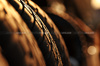 GP CINA, Paddock Atmosfera - Pirelli tyres.

21.03.2025. Formula 1 World Championship, Rd 2, Chinese Grand Prix, Shanghai, China, Sprint Qualifiche Day.

- www.xpbimages.com, EMail: requests@xpbimages.com © Copyright: Moy / XPB Images