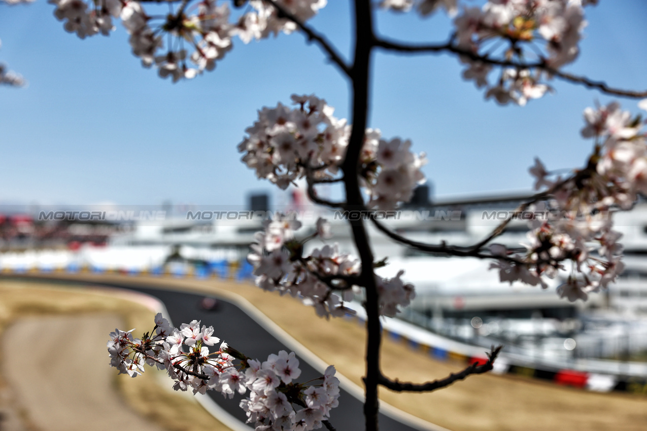 GP GIAPPONE, Circuit Atmosfera - blossom.

04.04.2025. Formula 1 World Championship, Rd 3, Japanese Grand Prix, Suzuka, Japan, Practice Day.

- www.xpbimages.com, EMail: requests@xpbimages.com © Copyright: Charniaux / XPB Images