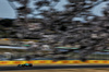 GP GIAPPONE, Fernando Alonso (ESP) Aston Martin F1 Team AMR25.

04.04.2025. Formula 1 World Championship, Rd 3, Japanese Grand Prix, Suzuka, Japan, Practice Day.

- www.xpbimages.com, EMail: requests@xpbimages.com © Copyright: Charniaux / XPB Images