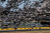 GP GIAPPONE, Max Verstappen (NLD) Red Bull Racing RB21.

04.04.2025. Formula 1 World Championship, Rd 3, Japanese Grand Prix, Suzuka, Japan, Practice Day.

- www.xpbimages.com, EMail: requests@xpbimages.com © Copyright: Charniaux / XPB Images