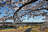 GP GIAPPONE, Max Verstappen (NLD) Red Bull Racing RB21.

04.04.2025. Formula 1 World Championship, Rd 3, Japanese Grand Prix, Suzuka, Japan, Practice Day.

- www.xpbimages.com, EMail: requests@xpbimages.com © Copyright: Charniaux / XPB Images