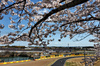 GP GIAPPONE, Ryo Hirakawa (JPN) Alpine F1 Team A525 Reserve Driver.

04.04.2025. Formula 1 World Championship, Rd 3, Japanese Grand Prix, Suzuka, Japan, Practice Day.

- www.xpbimages.com, EMail: requests@xpbimages.com © Copyright: Charniaux / XPB Images