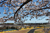 GP GIAPPONE, Andrea Kimi Antonelli (ITA) Mercedes AMG F1 W16.

04.04.2025. Formula 1 World Championship, Rd 3, Japanese Grand Prix, Suzuka, Japan, Practice Day.

- www.xpbimages.com, EMail: requests@xpbimages.com © Copyright: Charniaux / XPB Images