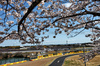 GP GIAPPONE, Isack Hadjar (FRA) Racing Bulls VCARB 02.

04.04.2025. Formula 1 World Championship, Rd 3, Japanese Grand Prix, Suzuka, Japan, Practice Day.

- www.xpbimages.com, EMail: requests@xpbimages.com © Copyright: Charniaux / XPB Images