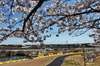 GP GIAPPONE, Lance Stroll (CDN) Aston Martin F1 Team AMR25.

04.04.2025. Formula 1 World Championship, Rd 3, Japanese Grand Prix, Suzuka, Japan, Practice Day.

- www.xpbimages.com, EMail: requests@xpbimages.com © Copyright: Charniaux / XPB Images