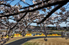 GP GIAPPONE, Alexander Albon (THA) Atlassian Williams Racing FW47.

04.04.2025. Formula 1 World Championship, Rd 3, Japanese Grand Prix, Suzuka, Japan, Practice Day.

- www.xpbimages.com, EMail: requests@xpbimages.com © Copyright: Charniaux / XPB Images
