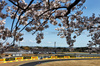 GP GIAPPONE, Alexander Albon (THA) Atlassian Williams Racing FW47.

04.04.2025. Formula 1 World Championship, Rd 3, Japanese Grand Prix, Suzuka, Japan, Practice Day.

- www.xpbimages.com, EMail: requests@xpbimages.com © Copyright: Charniaux / XPB Images