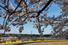 GP GIAPPONE, Carlos Sainz (ESP) Atlassian Williams Racing FW46.

04.04.2025. Formula 1 World Championship, Rd 3, Japanese Grand Prix, Suzuka, Japan, Practice Day.

- www.xpbimages.com, EMail: requests@xpbimages.com © Copyright: Charniaux / XPB Images
