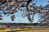 GP GIAPPONE, Andrea Kimi Antonelli (ITA) Mercedes AMG F1 W16.

04.04.2025. Formula 1 World Championship, Rd 3, Japanese Grand Prix, Suzuka, Japan, Practice Day.

- www.xpbimages.com, EMail: requests@xpbimages.com © Copyright: Charniaux / XPB Images