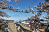 GP GIAPPONE, Oscar Piastri (AUS) McLaren MCL39.

04.04.2025. Formula 1 World Championship, Rd 3, Japanese Grand Prix, Suzuka, Japan, Practice Day.

- www.xpbimages.com, EMail: requests@xpbimages.com © Copyright: Charniaux / XPB Images