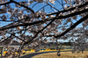GP GIAPPONE, Alexander Albon (THA) Atlassian Williams Racing FW47.

04.04.2025. Formula 1 World Championship, Rd 3, Japanese Grand Prix, Suzuka, Japan, Practice Day.

- www.xpbimages.com, EMail: requests@xpbimages.com © Copyright: Charniaux / XPB Images