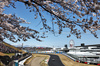 GP GIAPPONE, Liam Lawson (NZL) Racing Bulls VCARB 02.

04.04.2025. Formula 1 World Championship, Rd 3, Japanese Grand Prix, Suzuka, Japan, Practice Day.

- www.xpbimages.com, EMail: requests@xpbimages.com © Copyright: Charniaux / XPB Images