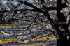 GP GIAPPONE, George Russell (GBR) Mercedes AMG F1 W16.

04.04.2025. Formula 1 World Championship, Rd 3, Japanese Grand Prix, Suzuka, Japan, Practice Day.

- www.xpbimages.com, EMail: requests@xpbimages.com © Copyright: Charniaux / XPB Images