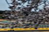 GP GIAPPONE, Fernando Alonso (ESP) Aston Martin F1 Team AMR25.

04.04.2025. Formula 1 World Championship, Rd 3, Japanese Grand Prix, Suzuka, Japan, Practice Day.

- www.xpbimages.com, EMail: requests@xpbimages.com © Copyright: Charniaux / XPB Images