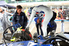 GP GRAN BRETAGNA, Carlos Sainz (ESP) Atlassian Williams Racing FW47 on the grid.

06.07.2025. Formula 1 World Championship, Rd 12, British Grand Prix, Silverstone, England, Gara Day.

- www.xpbimages.com, EMail: requests@xpbimages.com © Copyright: Bearne / XPB Images