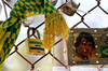 GP IMOLA, Circuit Atmosfera - tributes to Ayrton Senna at Tamburello.

15.05.2025. Formula 1 World Championship, Rd 7, Emilia Romagna Grand Prix, Imola, Italy, Preparation Day.

- www.xpbimages.com, EMail: requests@xpbimages.com © Copyright: Moy / XPB Images