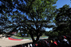 GP IMOLA, George Russell (GBR) Mercedes AMG F1 W16.

16.05.2025. Formula 1 World Championship, Rd 7, Emilia Romagna Grand Prix, Imola, Italy, Practice Day.

- www.xpbimages.com, EMail: requests@xpbimages.com © Copyright: Moy / XPB Images