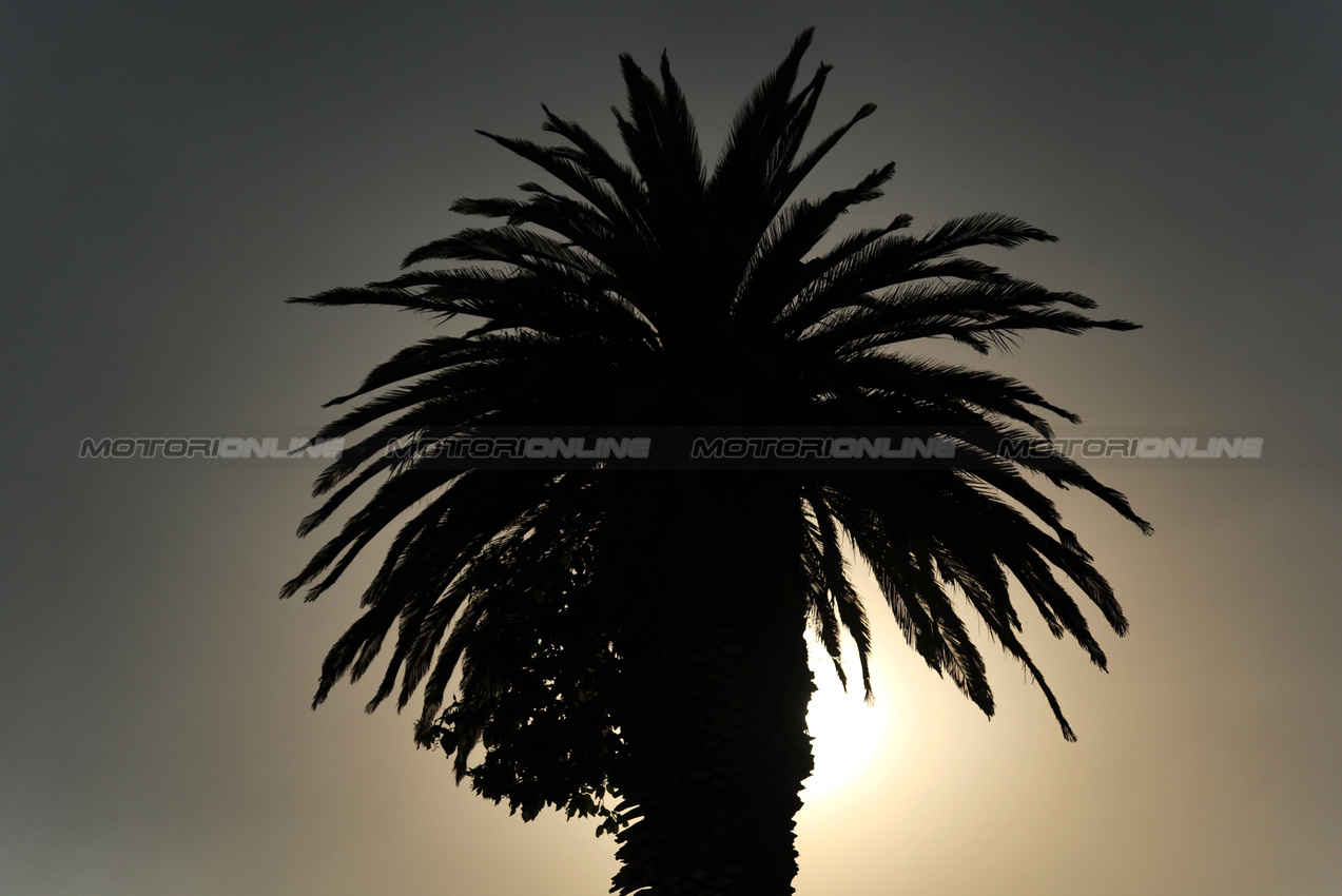 GP MESSICO, Circuit Atmosfera - a tree.

23.10.2025. Formula 1 World Championship, Rd 20, Mexican Grand Prix, Mexico City, Mexico, Preparation Day.

- www.xpbimages.com, EMail: requests@xpbimages.com © Copyright: Moy / XPB Images