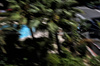 GP MONACO, Andrea Kimi Antonelli (ITA) Mercedes AMG F1 W16.

24.05.2025. Formula 1 World Championship, Rd 8, Monaco Grand Prix, Monte Carlo, Monaco, Qualifiche Day.

- www.xpbimages.com, EMail: requests@xpbimages.com © Copyright: Charniaux / XPB Images