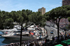 GP MONACO, Carlos Sainz (ESP) Atlassian Williams Racing FW47.

24.05.2025. Formula 1 World Championship, Rd 8, Monaco Grand Prix, Monte Carlo, Monaco, Qualifiche Day.

- www.xpbimages.com, EMail: requests@xpbimages.com © Copyright: Moy / XPB Images