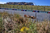 GP OLANDA, Oscar Piastri (AUS) McLaren MCL39.

30.08.2025. Formula 1 World Championship, Rd 15, Dutch Grand Prix, Zandvoort, Netherlands, Qualifiche Day.

- www.xpbimages.com, EMail: requests@xpbimages.com © Copyright: Charniaux / XPB Images