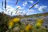 GP OLANDA, Oscar Piastri (AUS) McLaren MCL39.

29.08.2025. Formula 1 World Championship, Rd 15, Dutch Grand Prix, Zandvoort, Netherlands, Practice Day.

- www.xpbimages.com, EMail: requests@xpbimages.com © Copyright: Price	/ XPB Images
