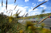 GP OLANDA, Lando Norris (GBR) McLaren MCL39.

29.08.2025. Formula 1 World Championship, Rd 15, Dutch Grand Prix, Zandvoort, Netherlands, Practice Day.

- www.xpbimages.com, EMail: requests@xpbimages.com © Copyright: Price	/ XPB Images